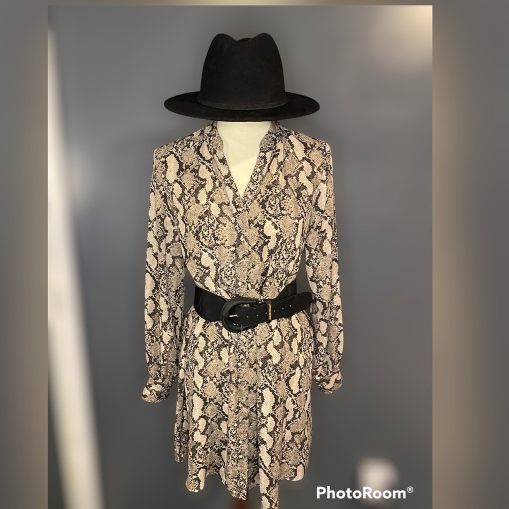 H&M snake print dress